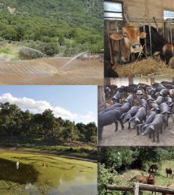 Le Terrazze Sul Mare Bio